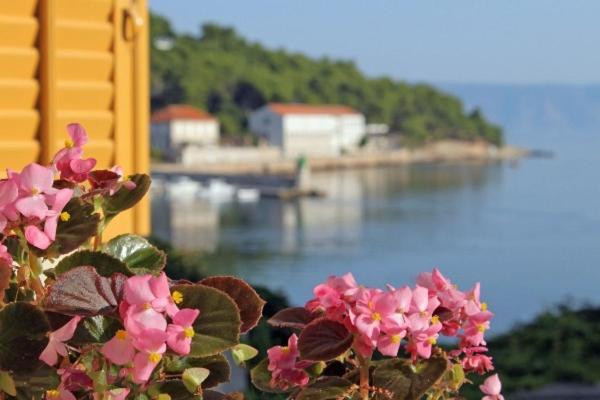 Villa Marga Jelsa  Esterno foto