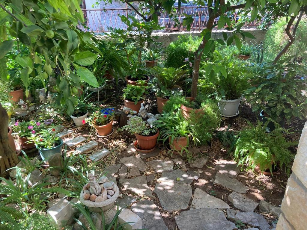 Villa Marga Jelsa  Esterno foto